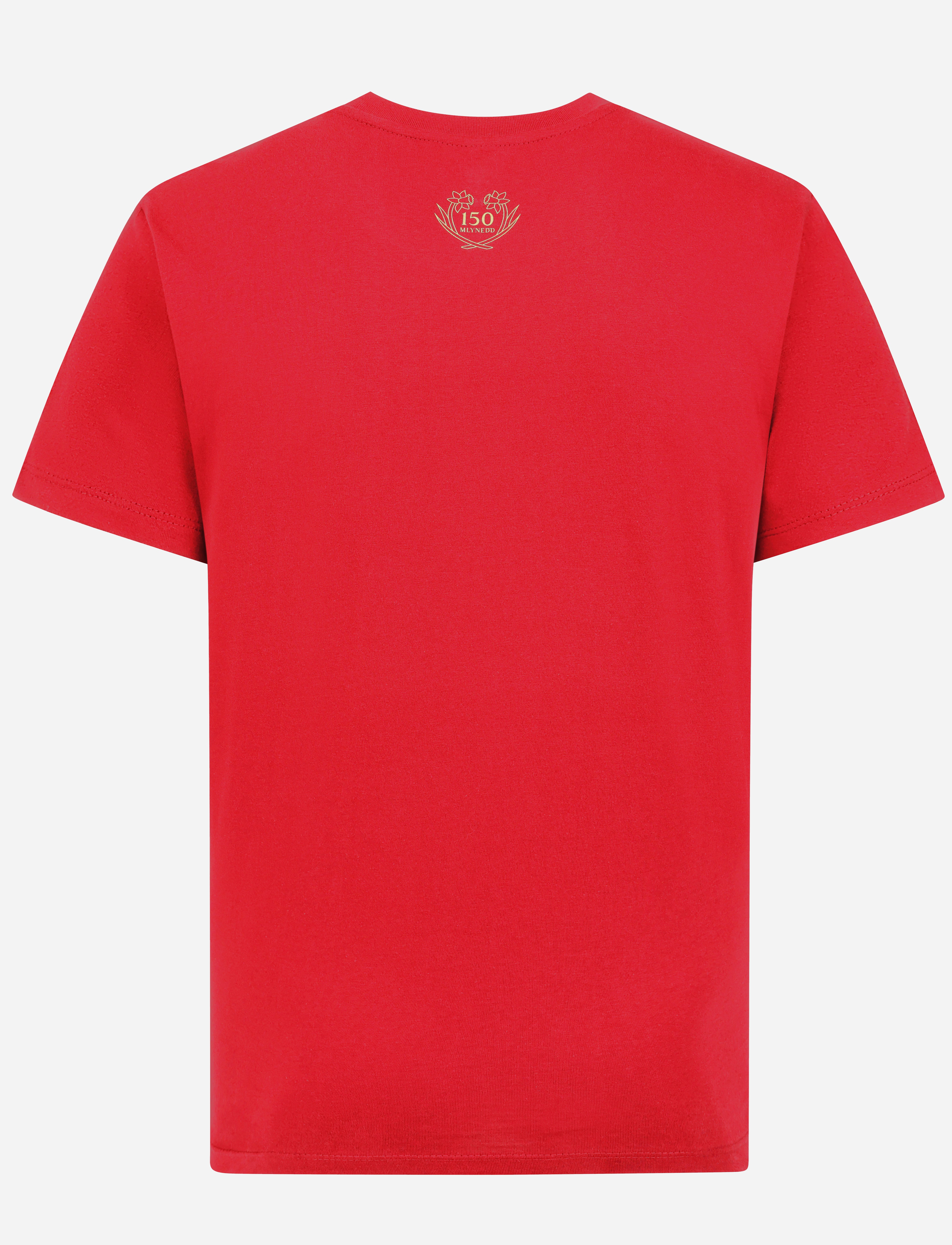Official Team Wales 150th Anniversary T-Shirt - Red - The World Football Store