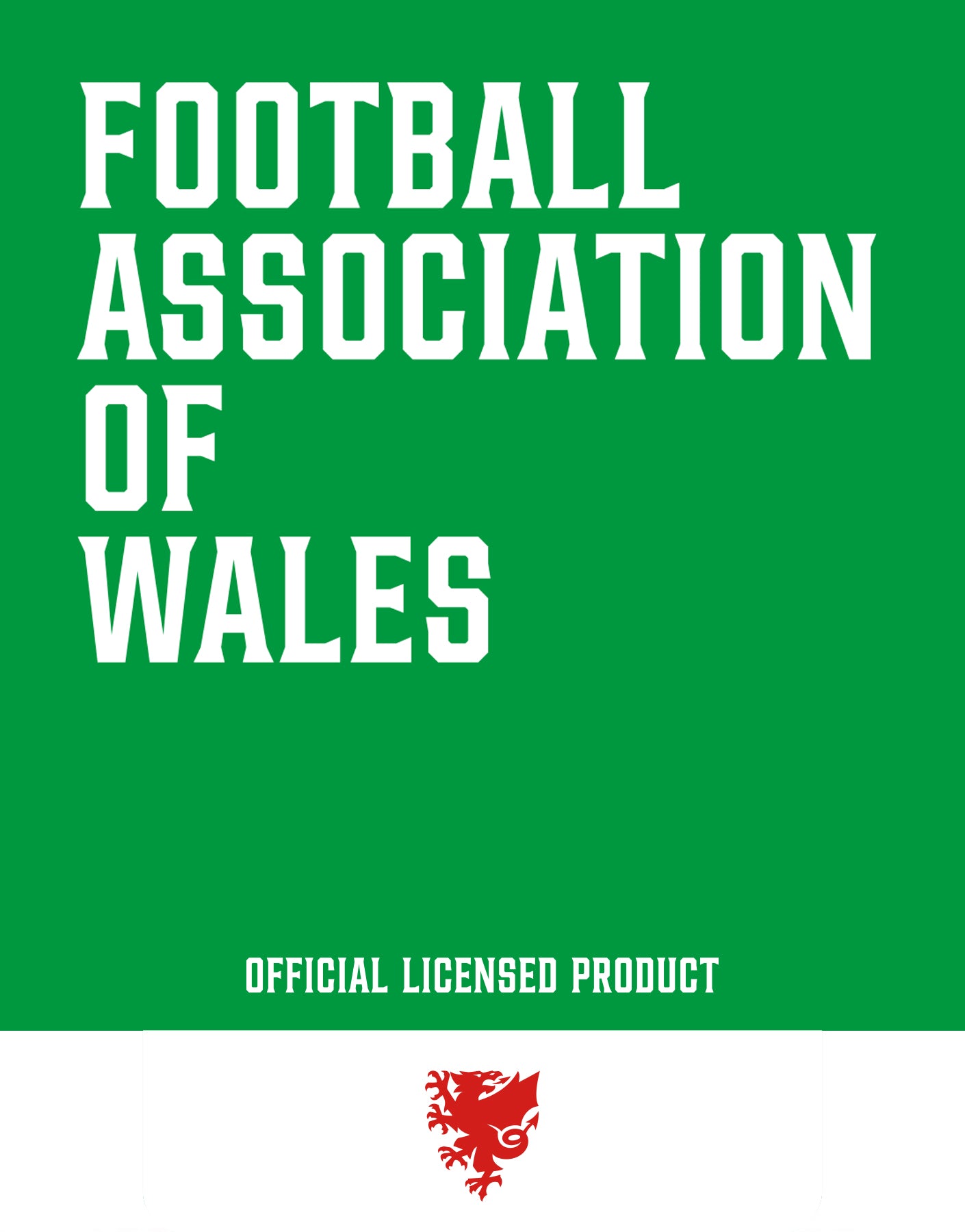 Official Team Wales 'Our Time' T-Shirt - White - The World Football Store